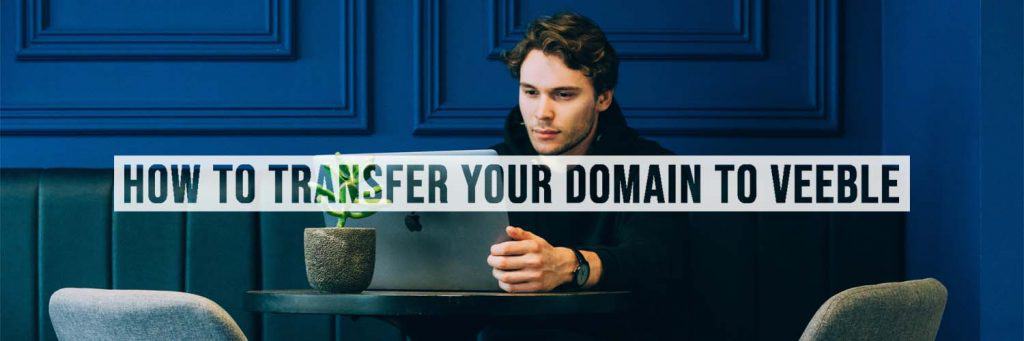 How to Transfer your Domain to Veeble