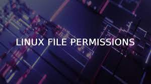 Linux file permissions
